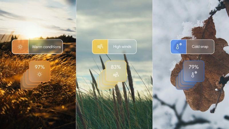 Terms and conditions protect user weather access