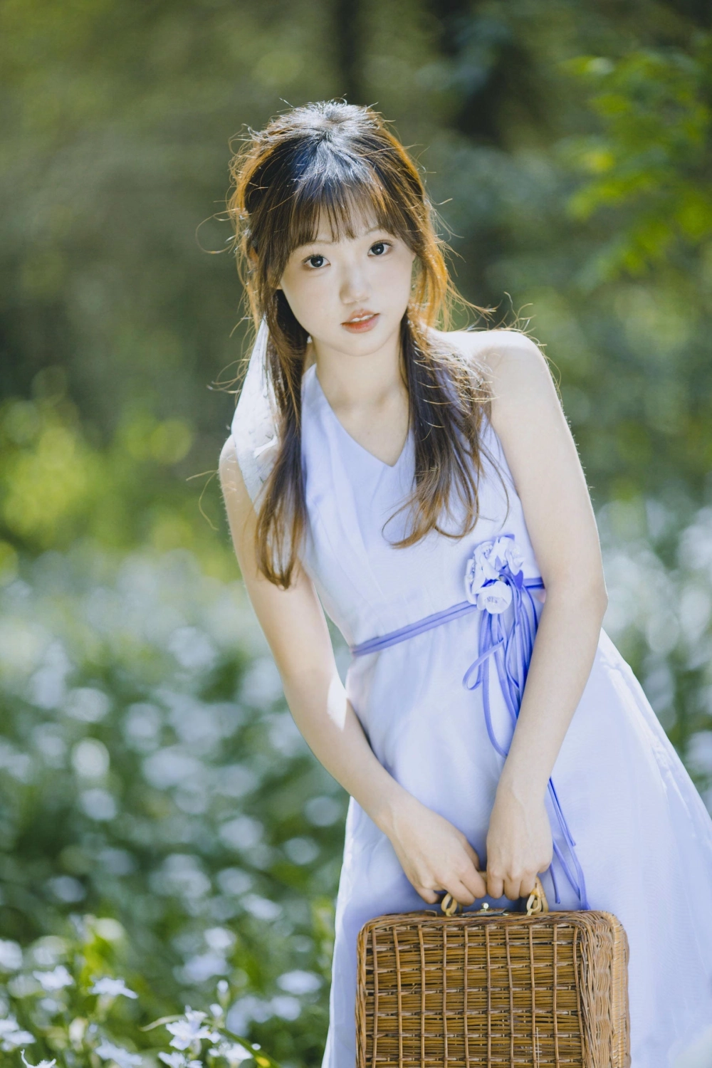 The captivating and cute Cat