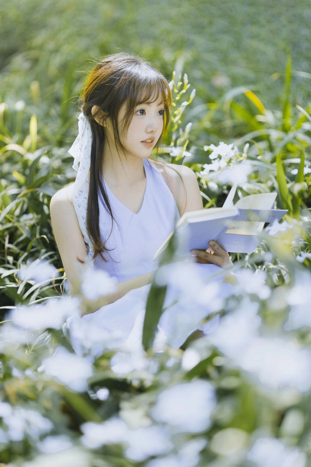 The whimsical world of Cat