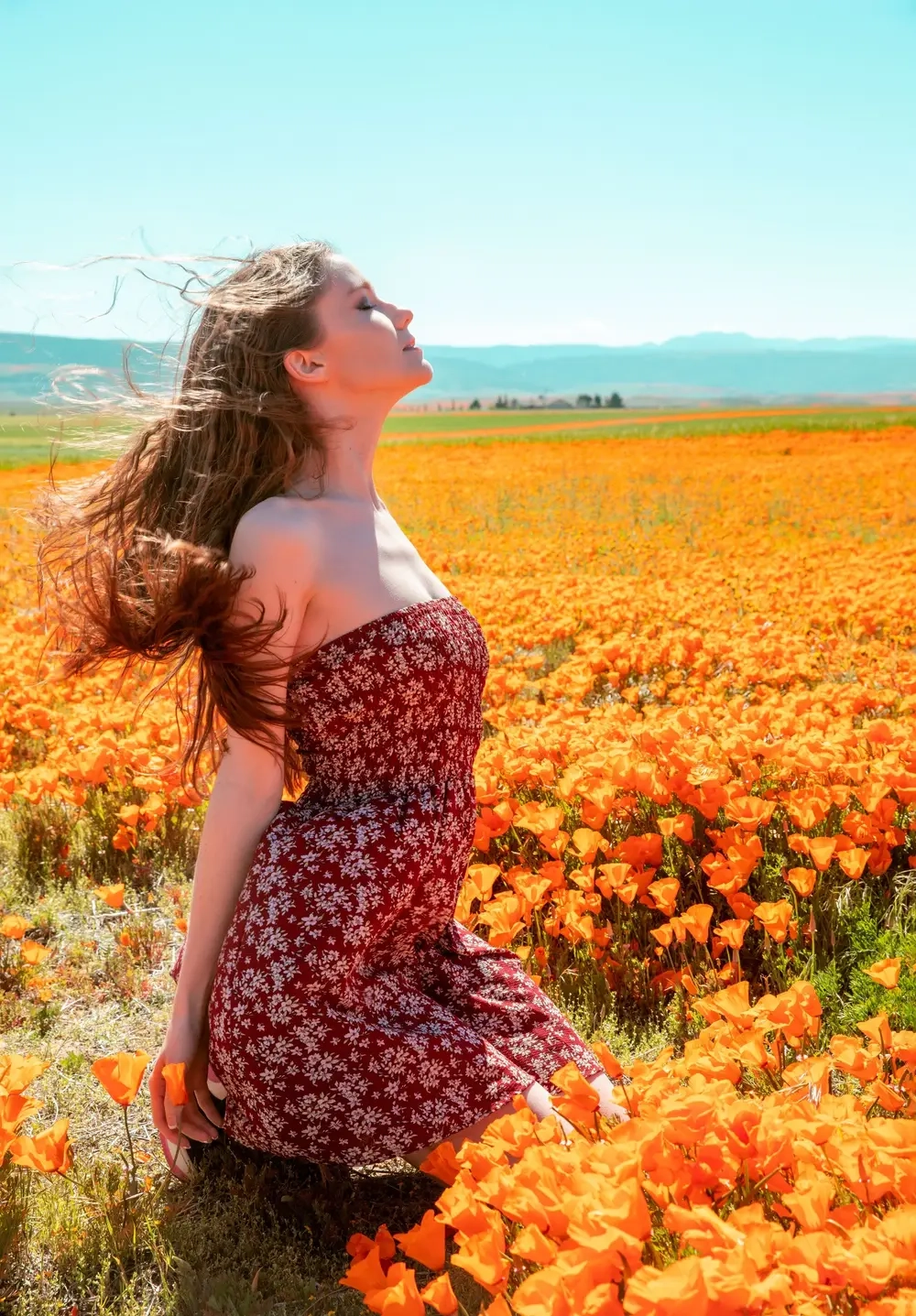Discover the timeless charm of Emily Bloom