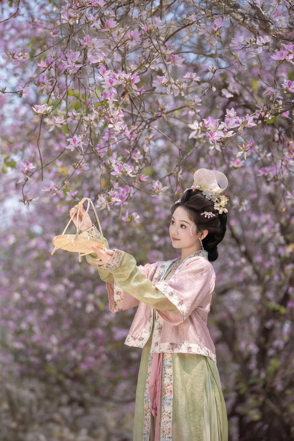 The bold style of Jiushi Jiao Meinan A