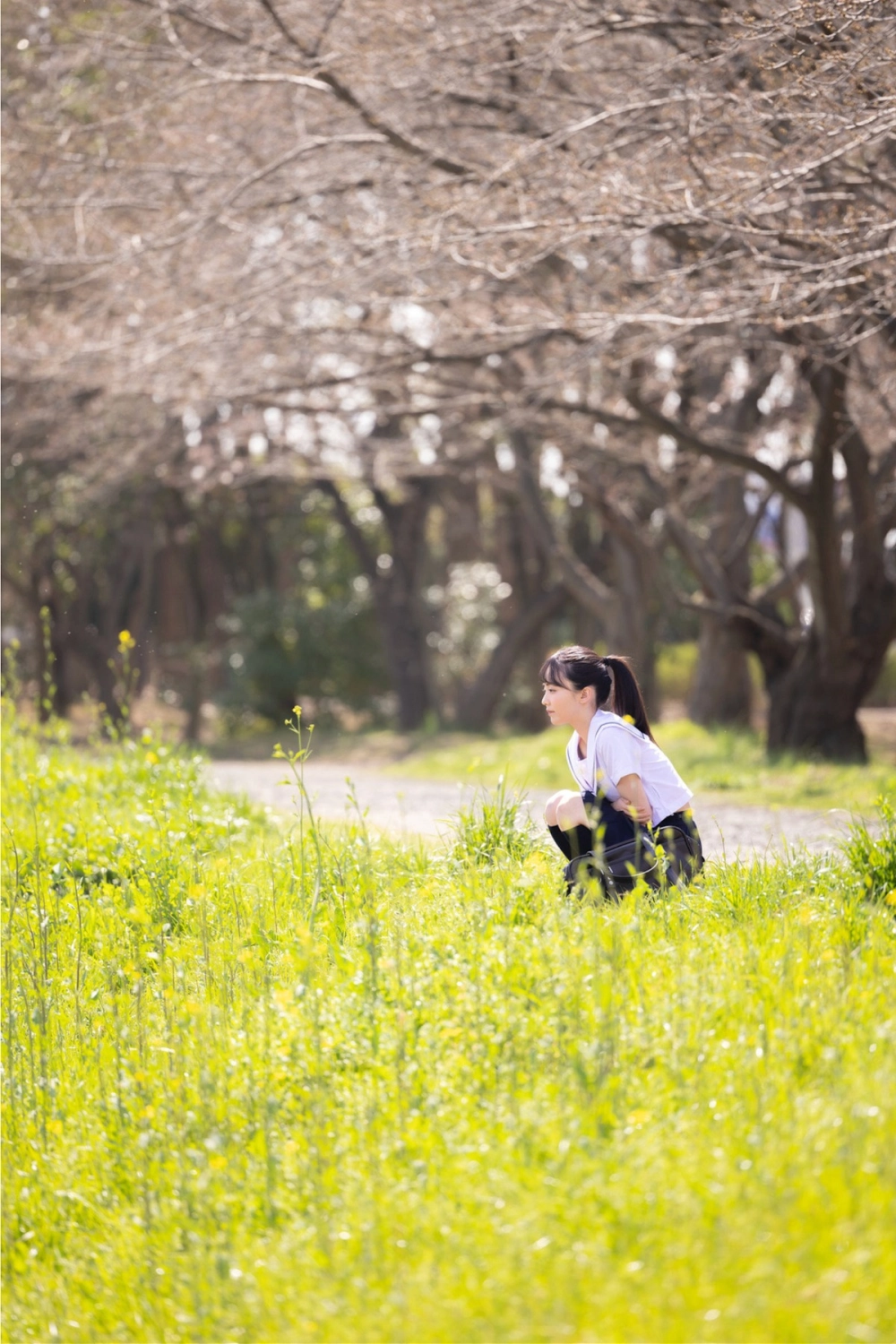 Elegance and grace in Minoshima Tour