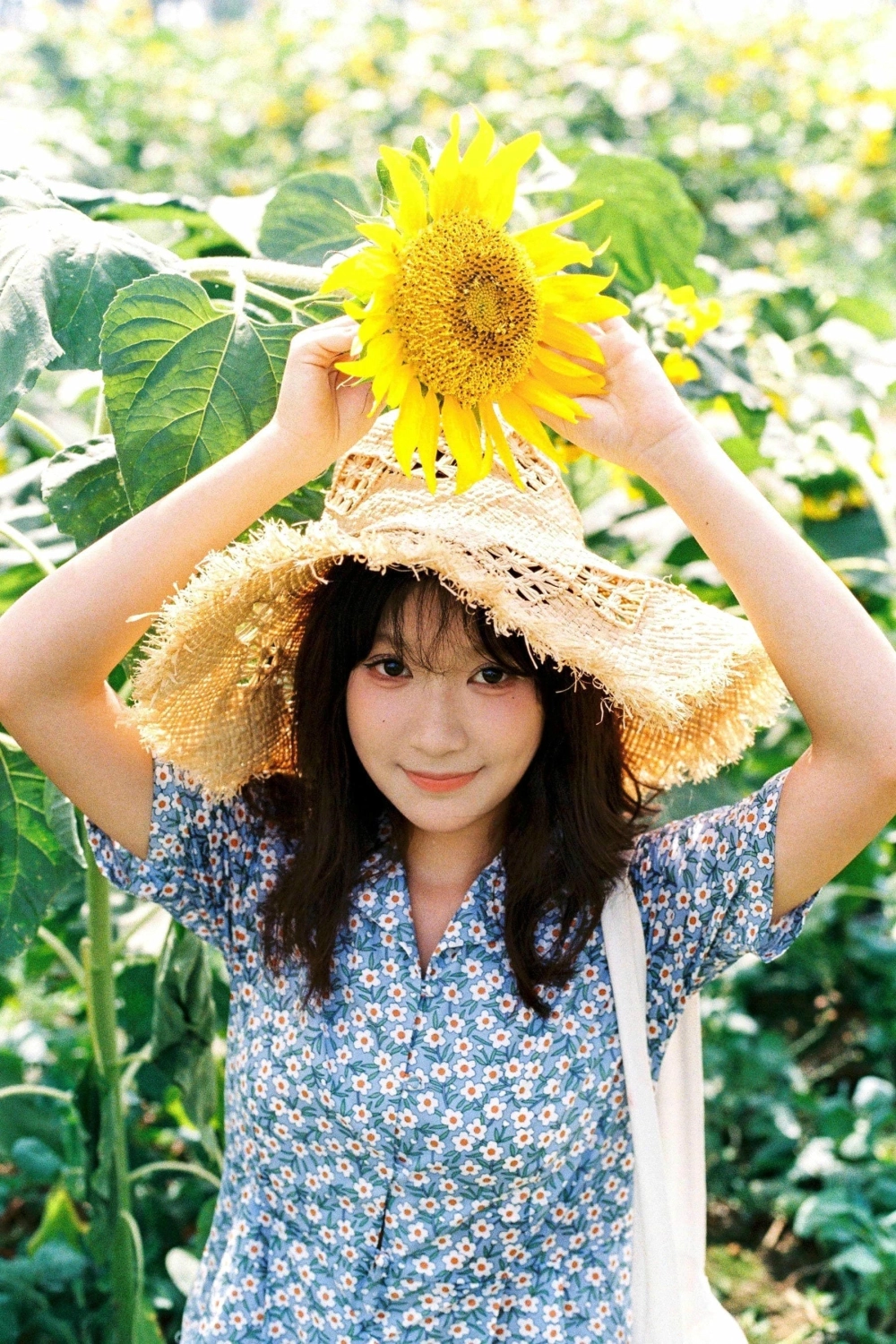 A perfect sunny day with Mumu