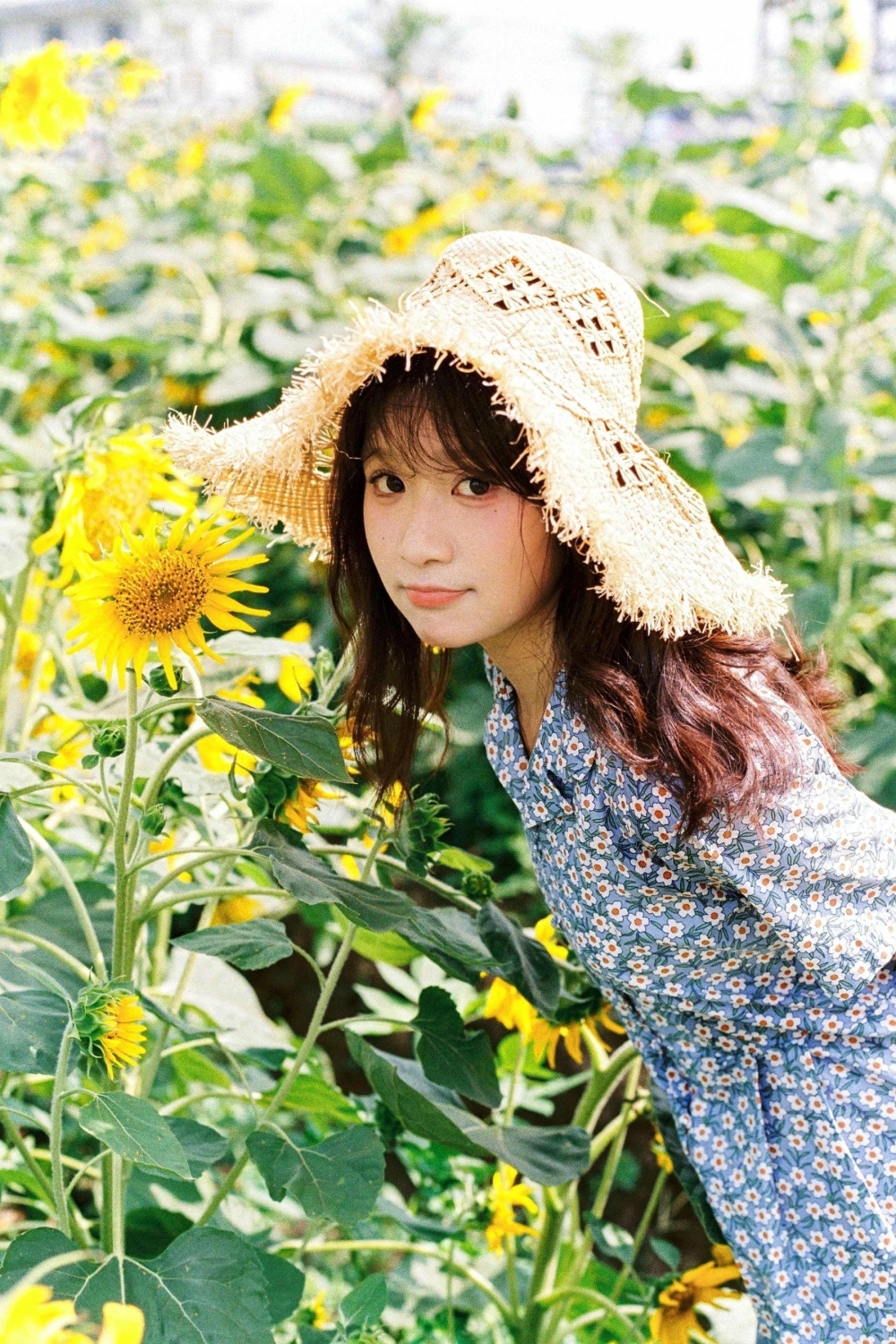 Mumu enjoying a beautiful landscape