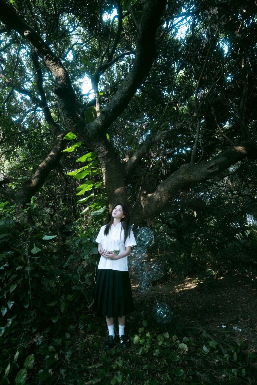 Quqi perfectly captured in golden hour light