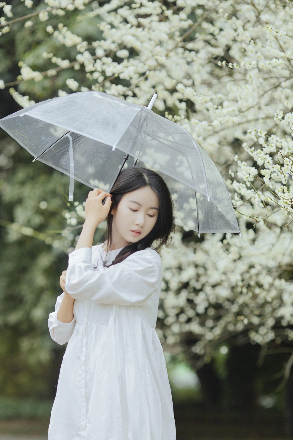 The vibrant spirit of Zhai Xingxing Gei Ni Ya