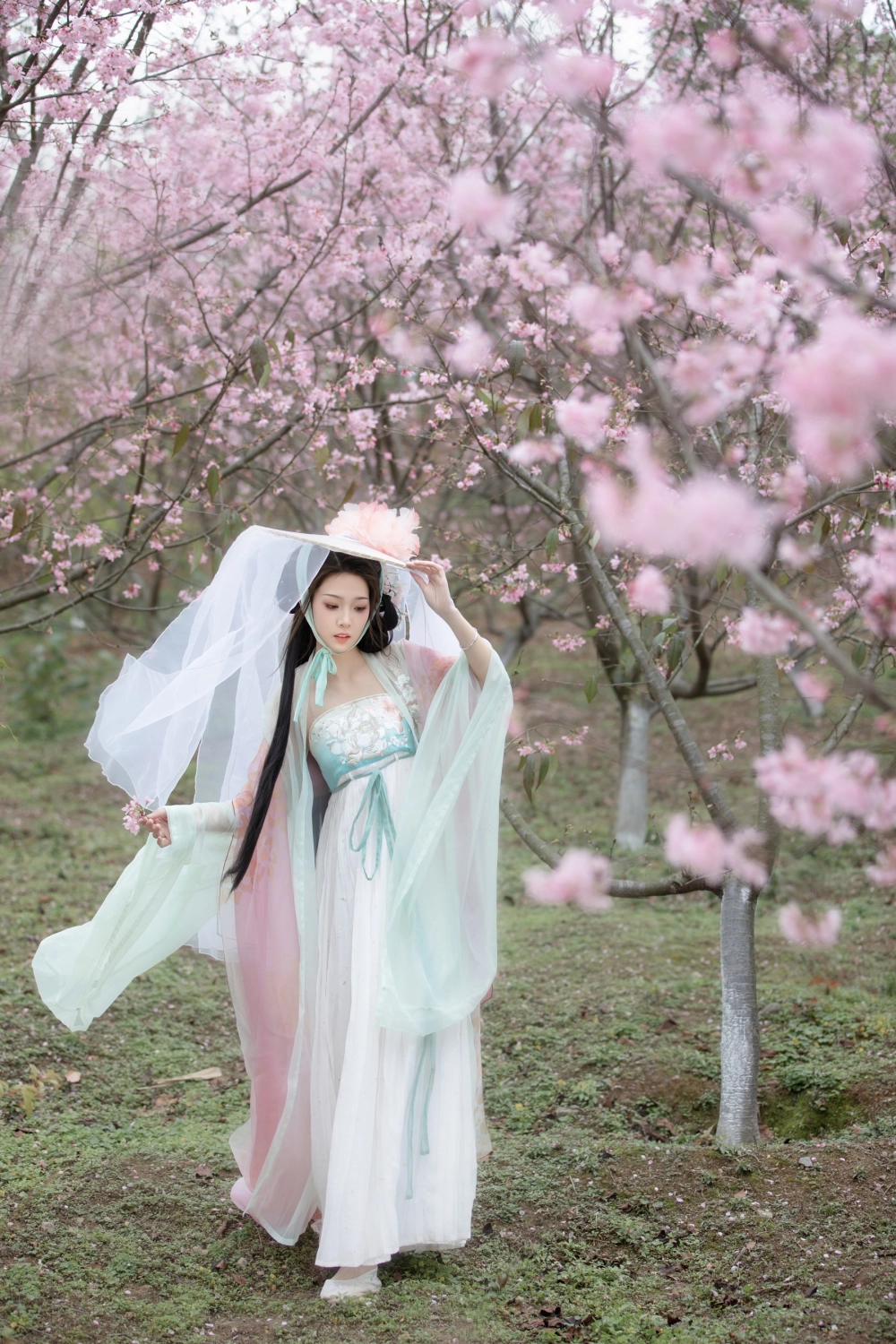 The classical grace of Zhizhi Qi