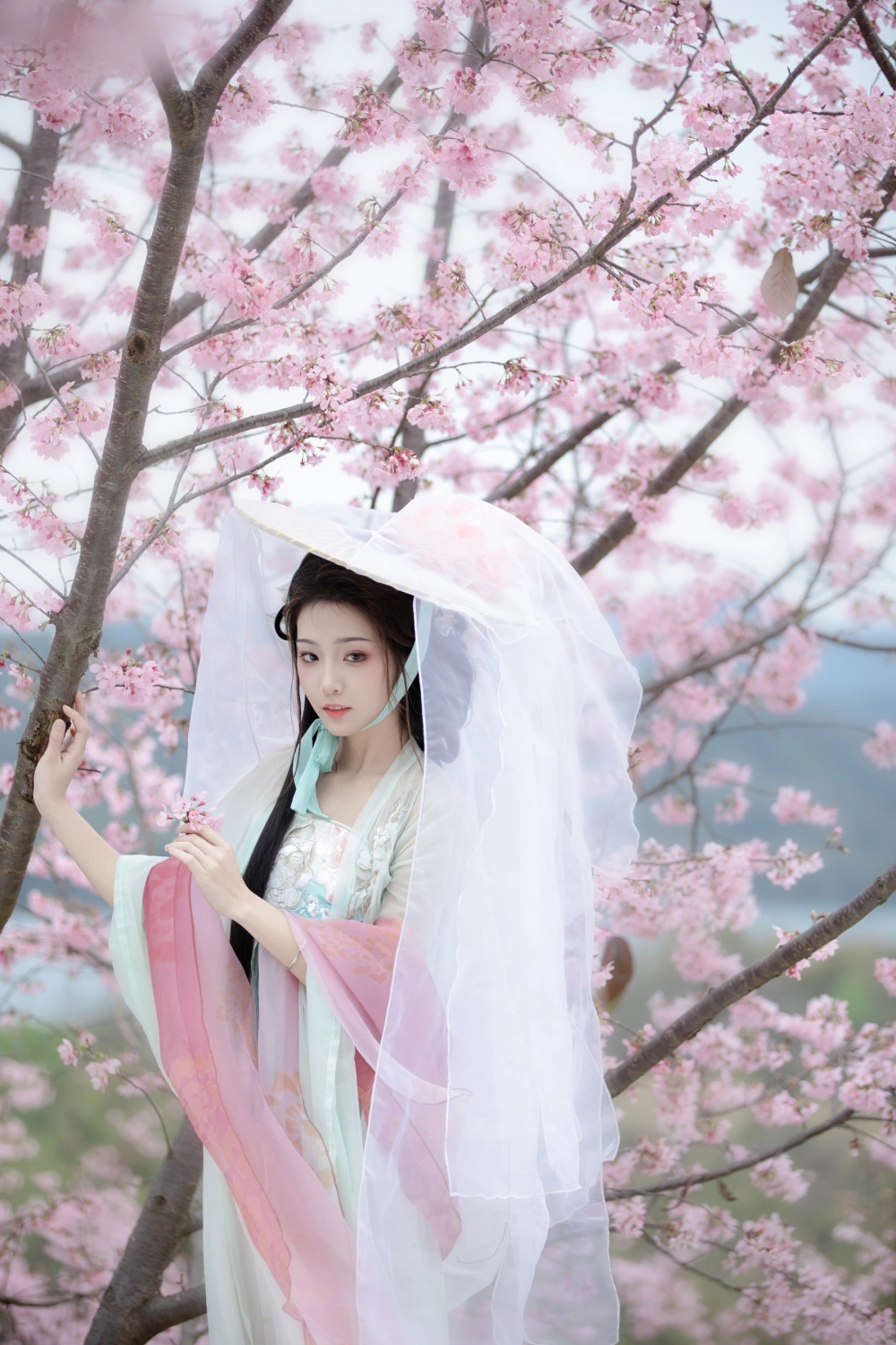 A moment of quiet elegance with Zhizhi Qi