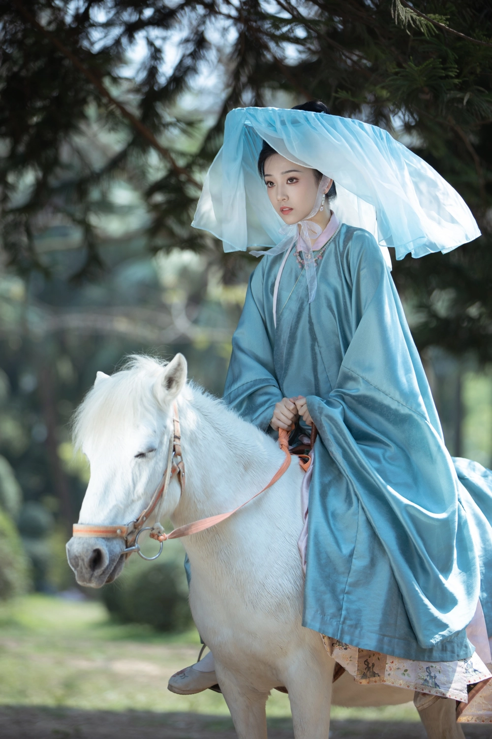 The poetic beauty of Zhizhi Qi