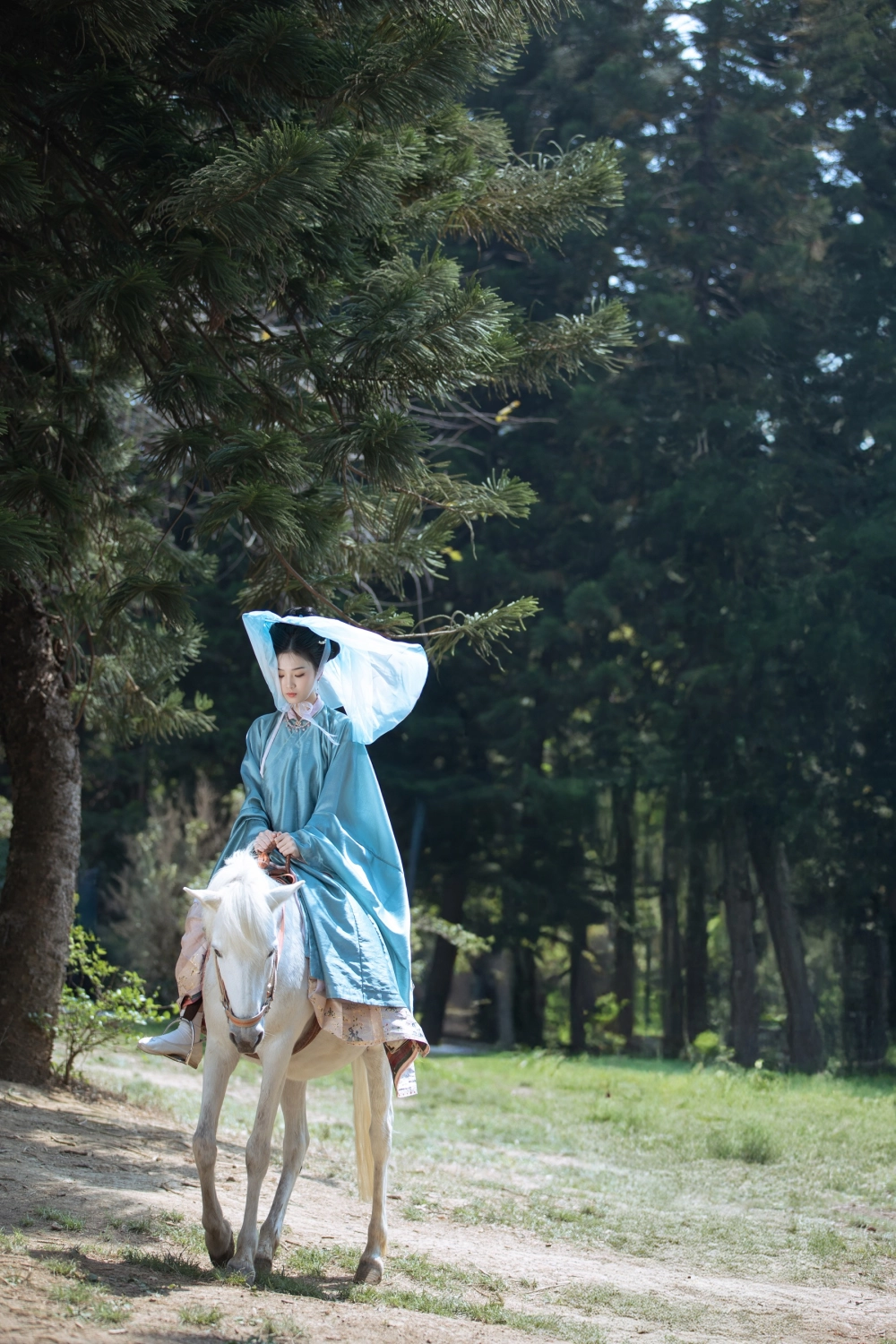 A masterpiece of beauty starring Zhizhi Qi