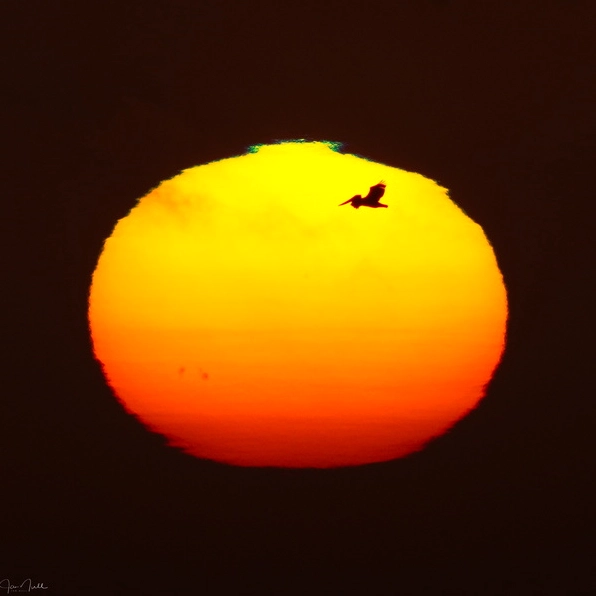 A green flash phenomenon illuminating the horizon.