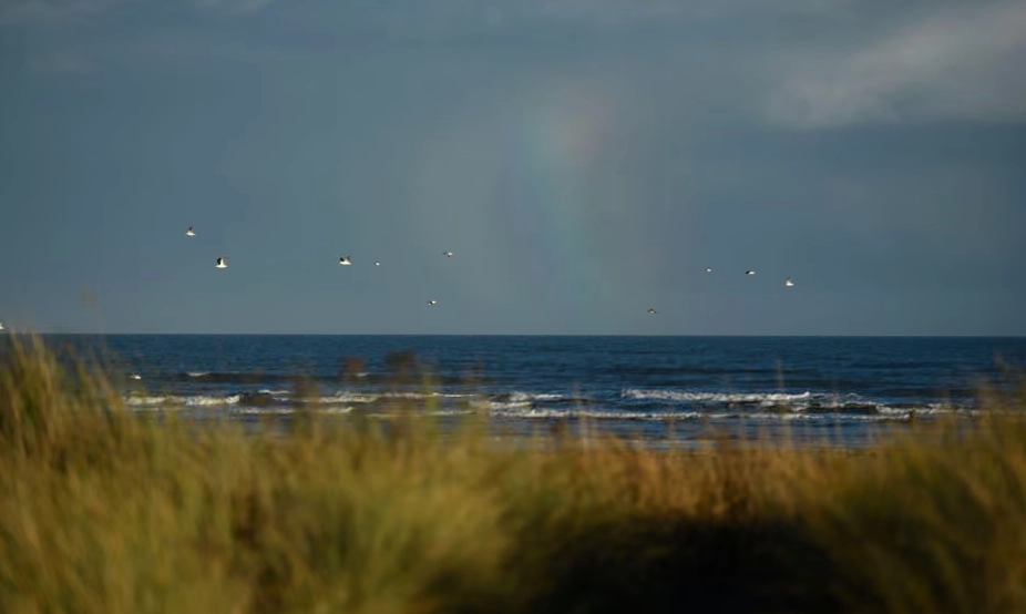 A nacreous cloud formation over the Irish coast