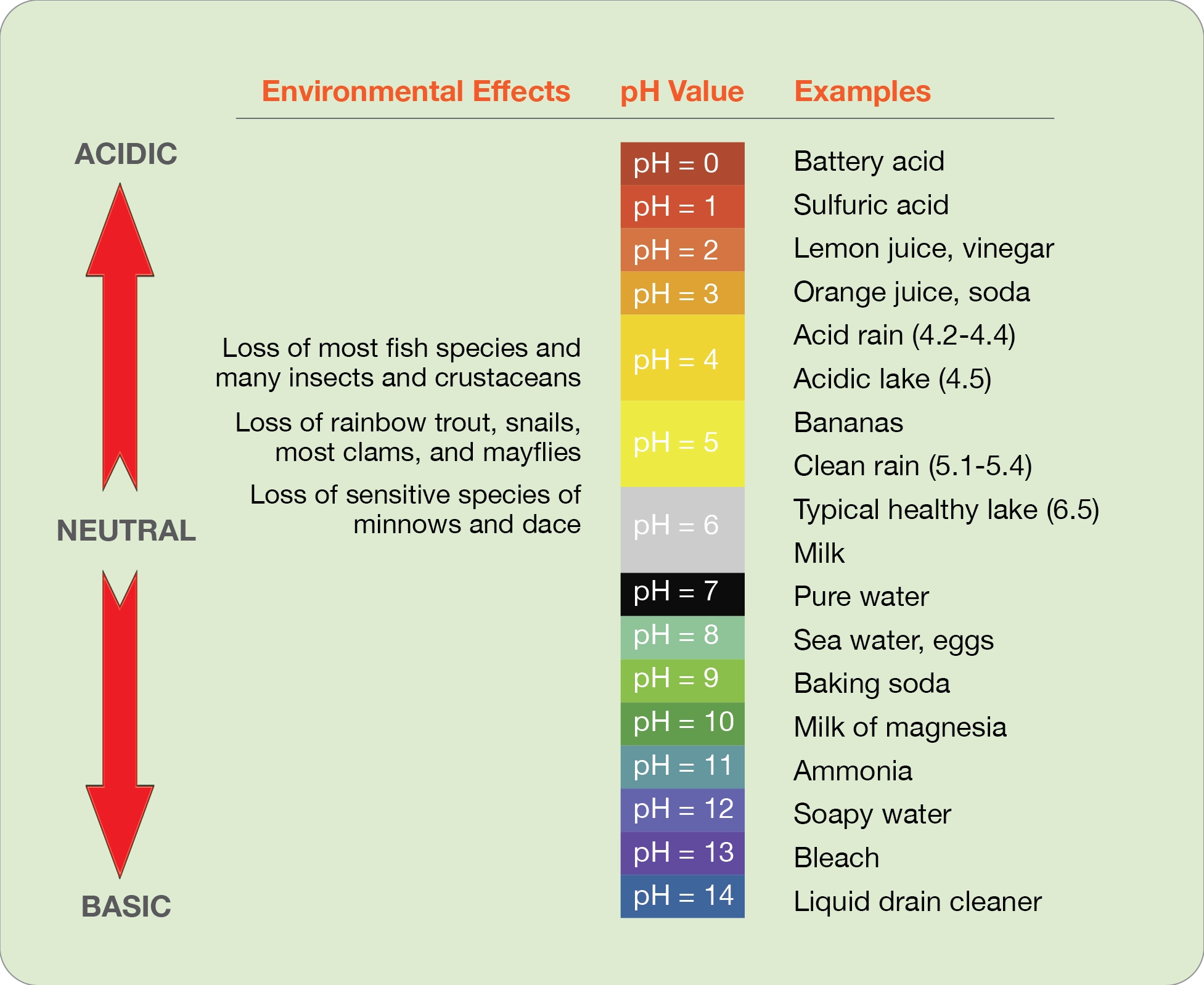 A visual representation of the pH scale