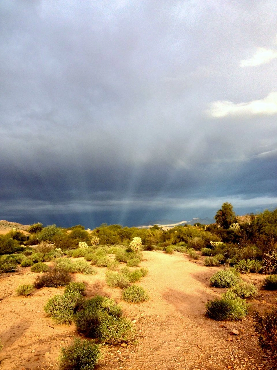 A wide view of the sky showing both crepuscular and anticrepuscular rays