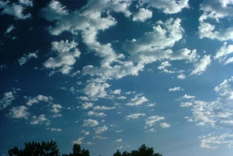 Altocumulus clouds viewed from below