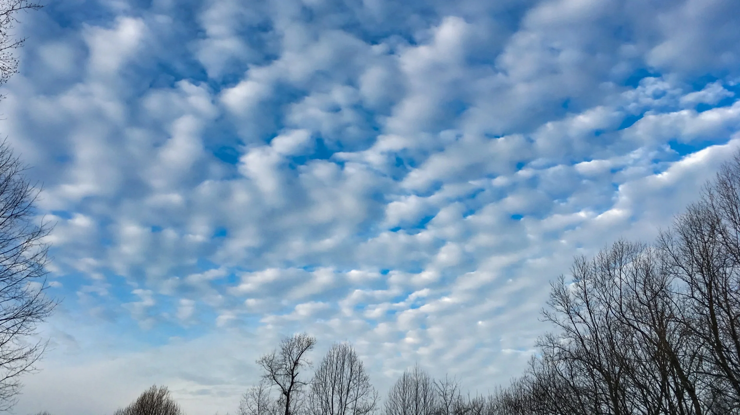 Altocumulus stratiformis perlucidus undulatus formation