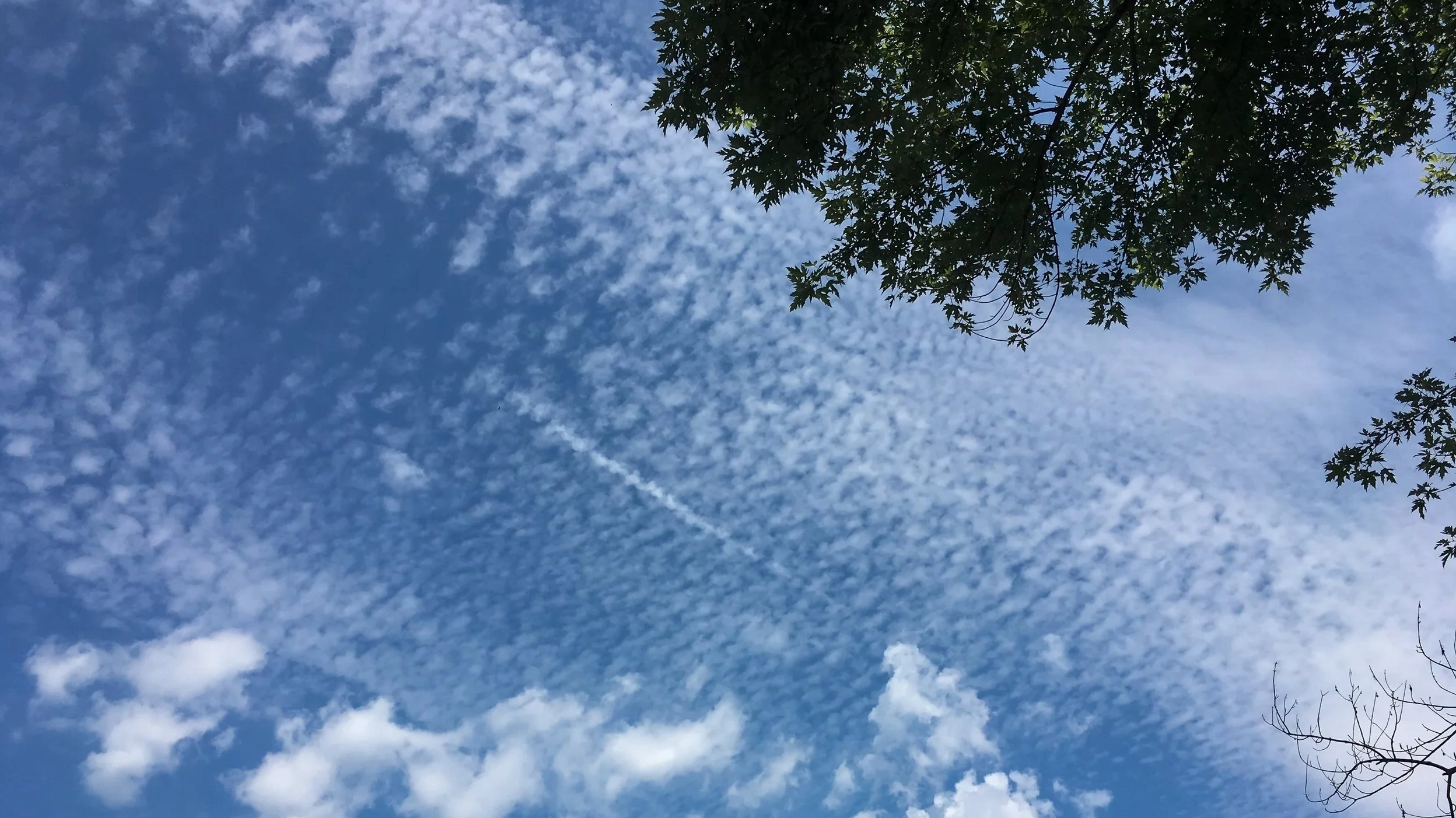 Cirrocumulus floccus cloud formations resembling ragged tufts