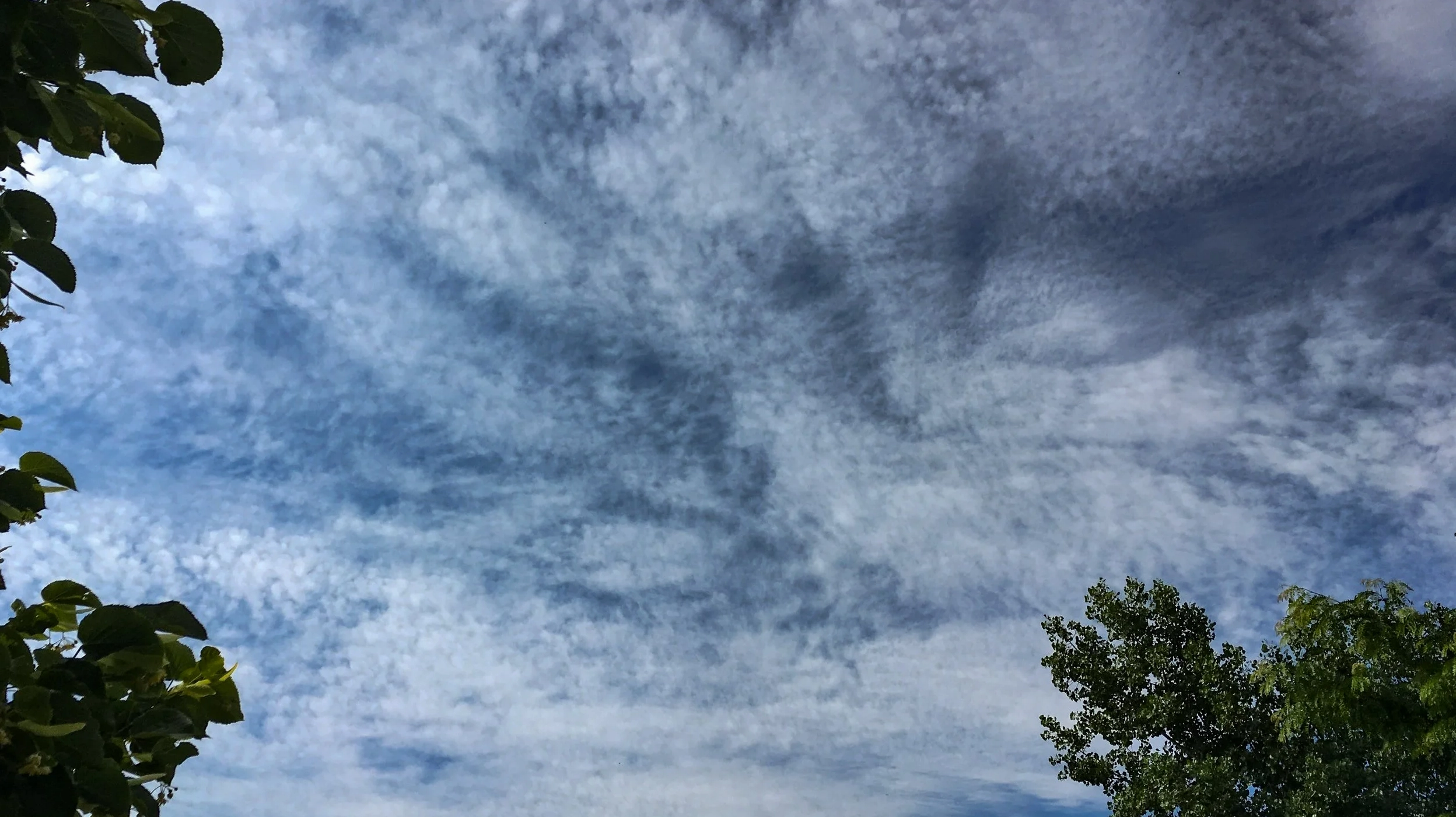 Cirrocumulus stratiformis cloud layer