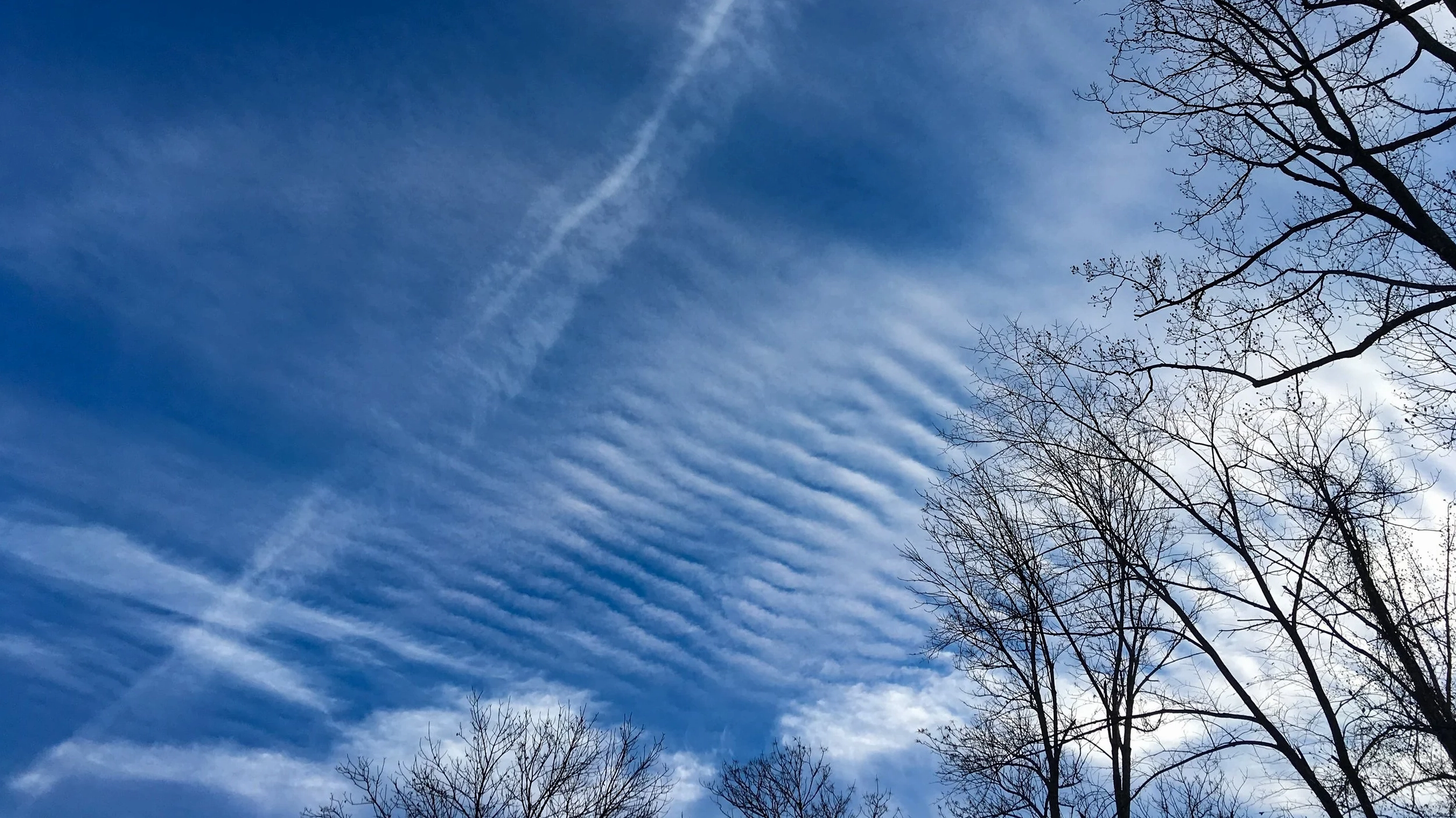 Cirrocumulus stratiformis undulatus clouds displaying wave-like patterns