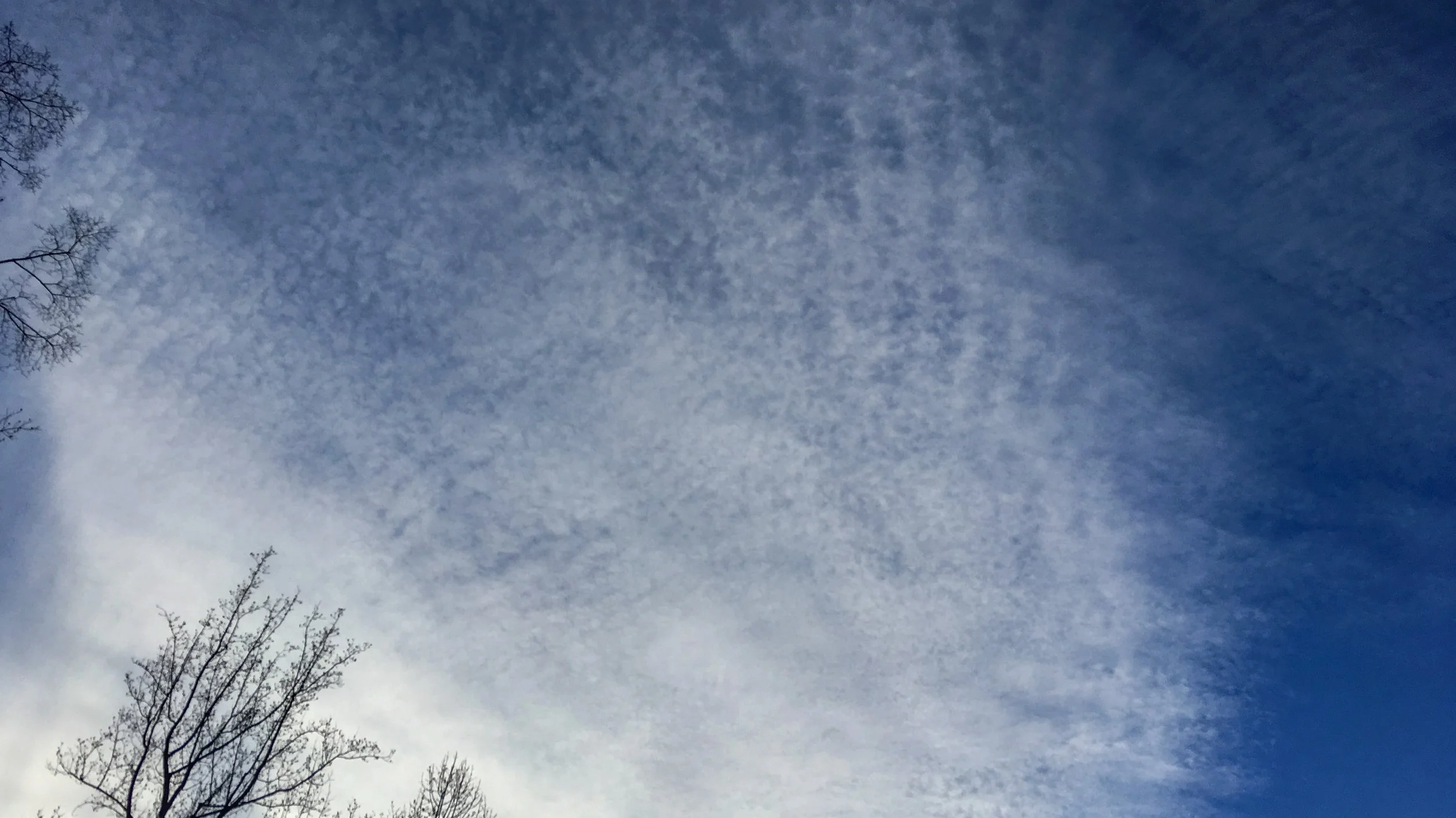 Cirrocumulus stratiformis undulatus lacunosus with a perforated appearance
