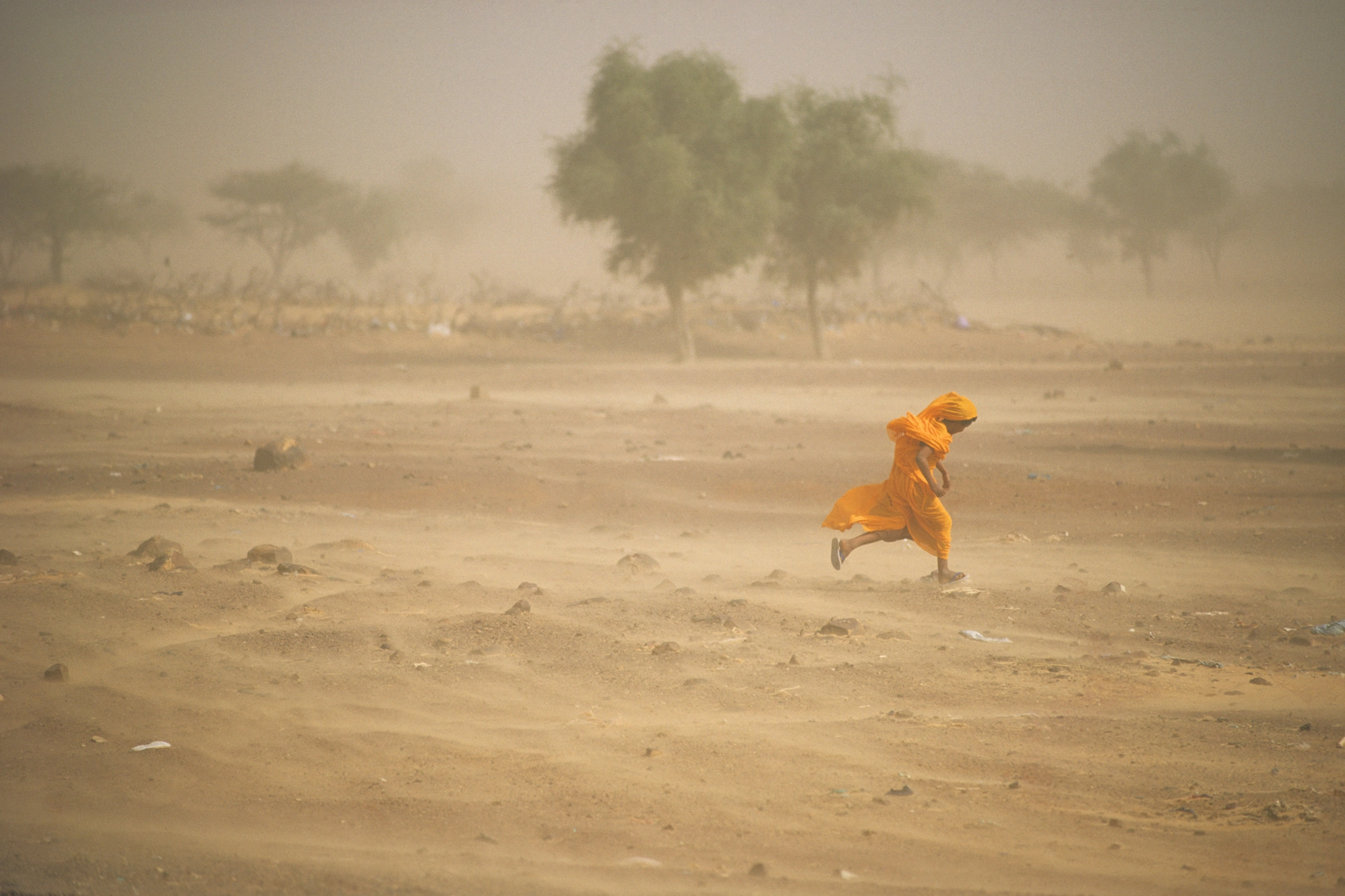 Close-up of sand and dust particles suspended in the air during a storm
