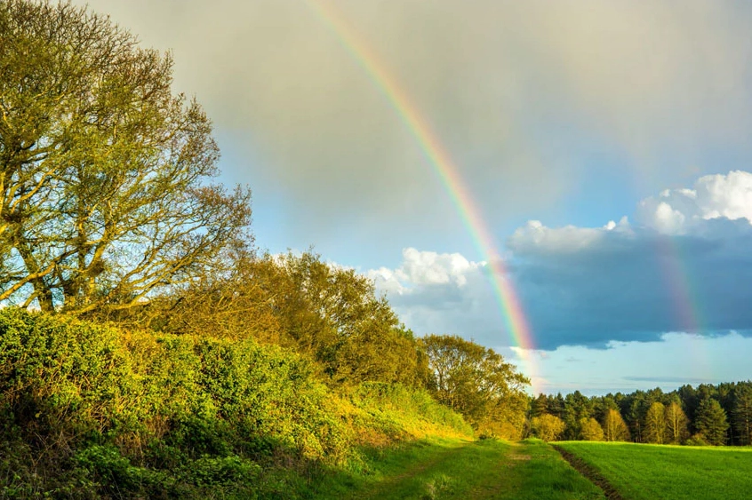 Comparison of color order in primary versus secondary rainbows