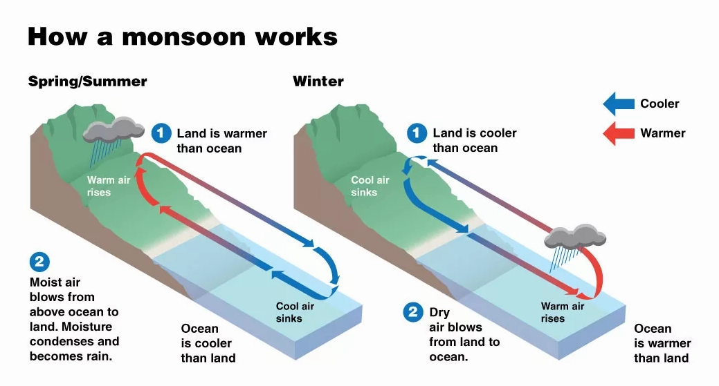 Conceptual diagram illustrating atmospheric circulation features of a monsoon system