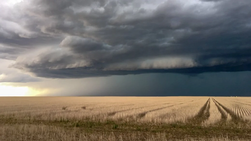 Cumulonimbus arcus (Cb arc) exhibiting its classic arch shape