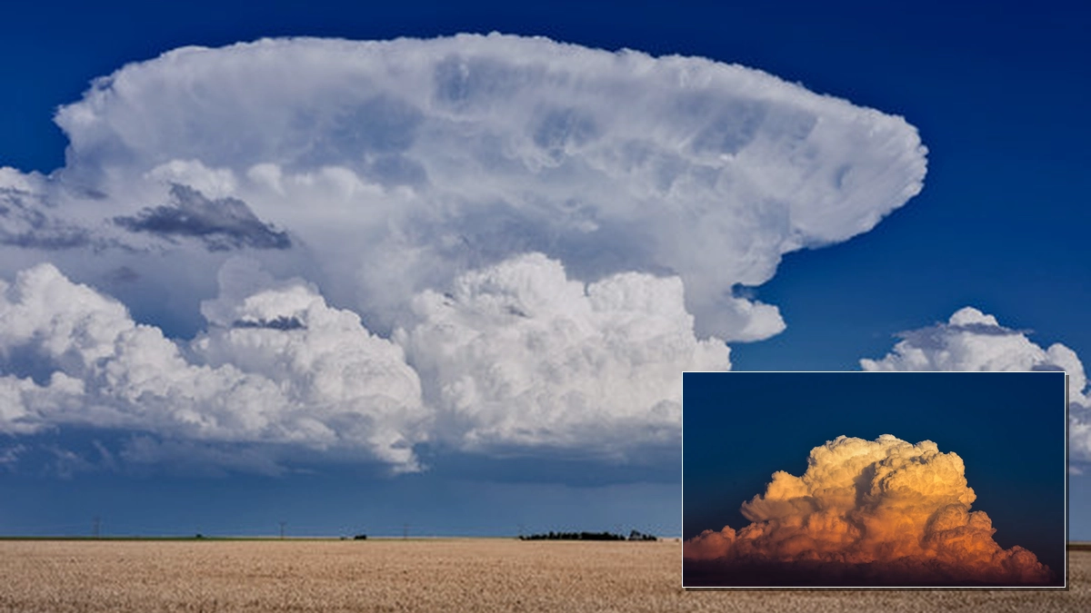 Cumulonimbus Clouds Understanding Their Formation and Impact