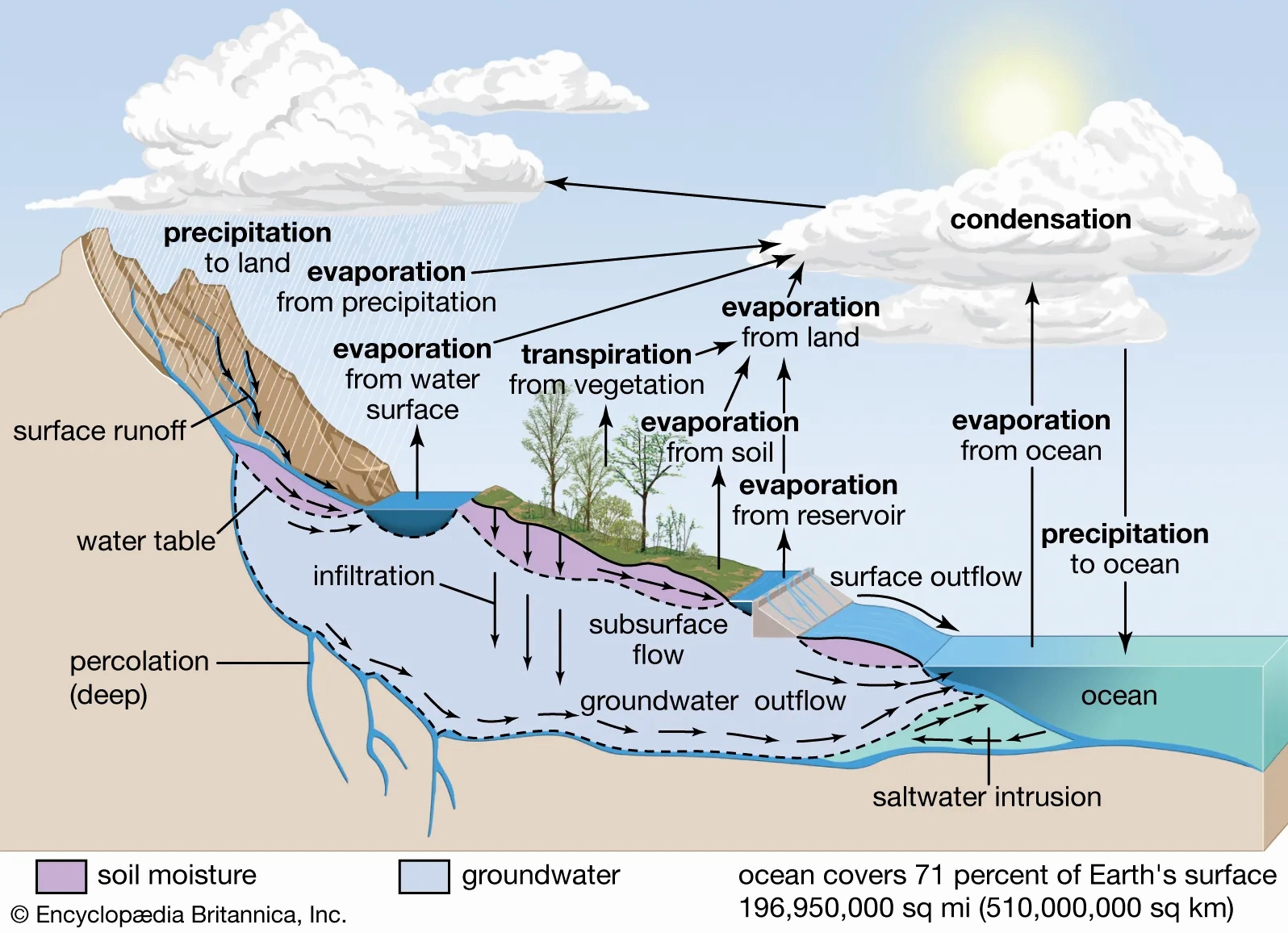 Detailed diagram of the hydrologic cycle