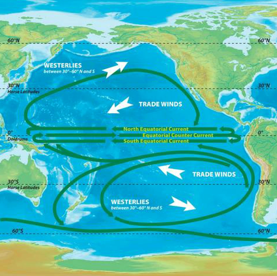 Diagram illustrating global wind patterns including trade winds and westerlies.