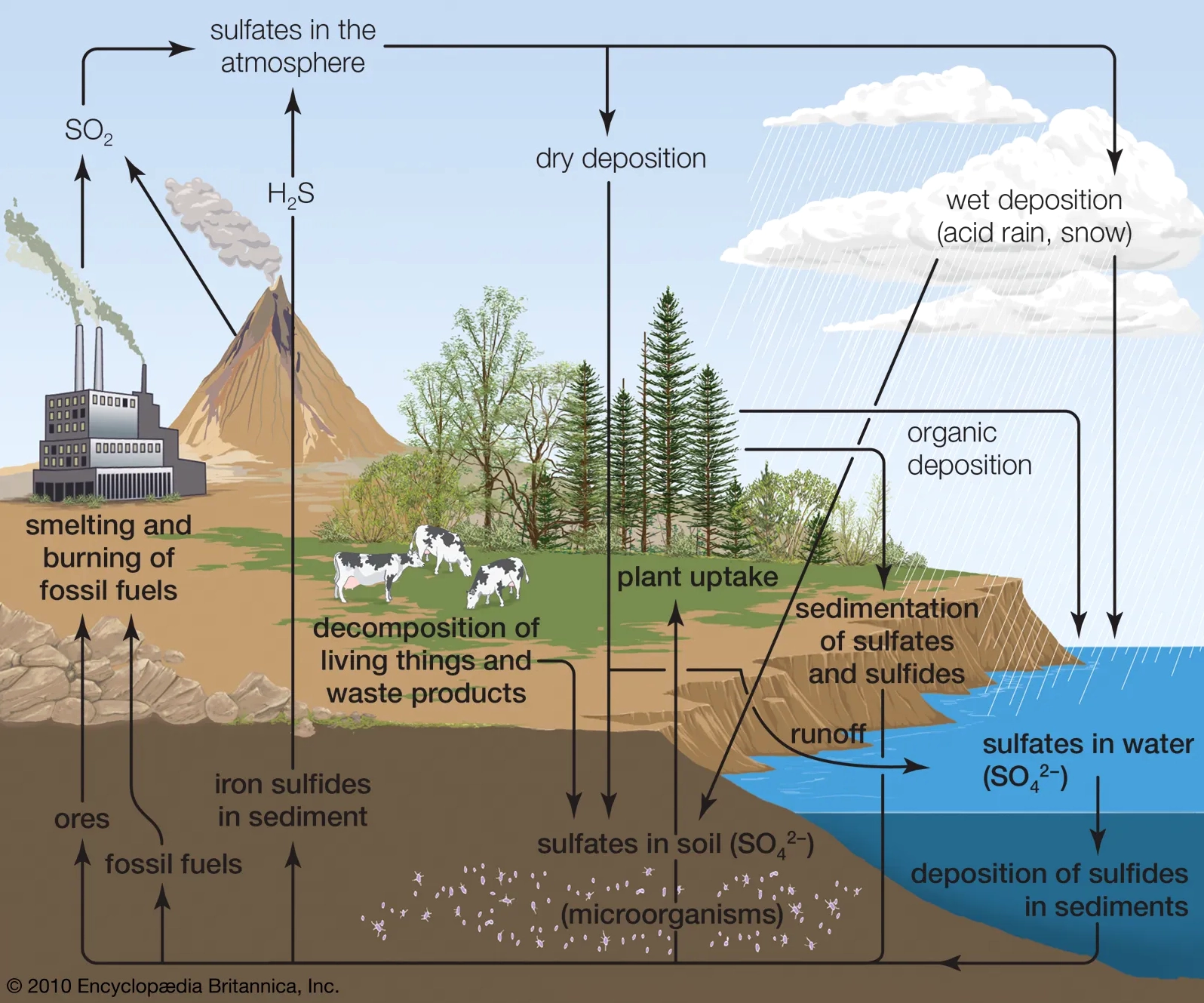 Diagram illustrating the sulfur cycle in the atmosphere