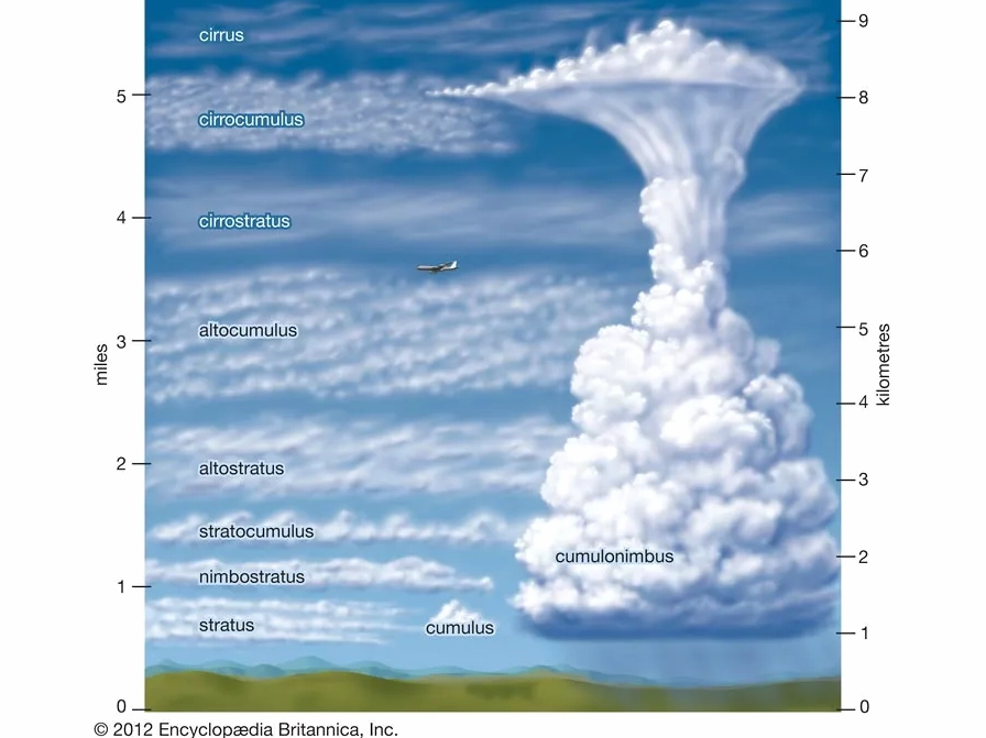 Diagram showing the process of cumulus cloud formation