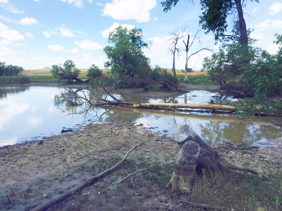 Dry pond in South Dakota during a drought event in 2016