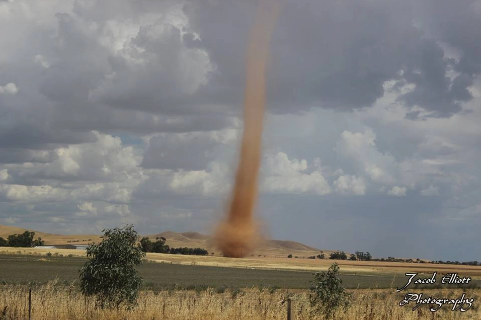 Dust devil observed in a desert landscape