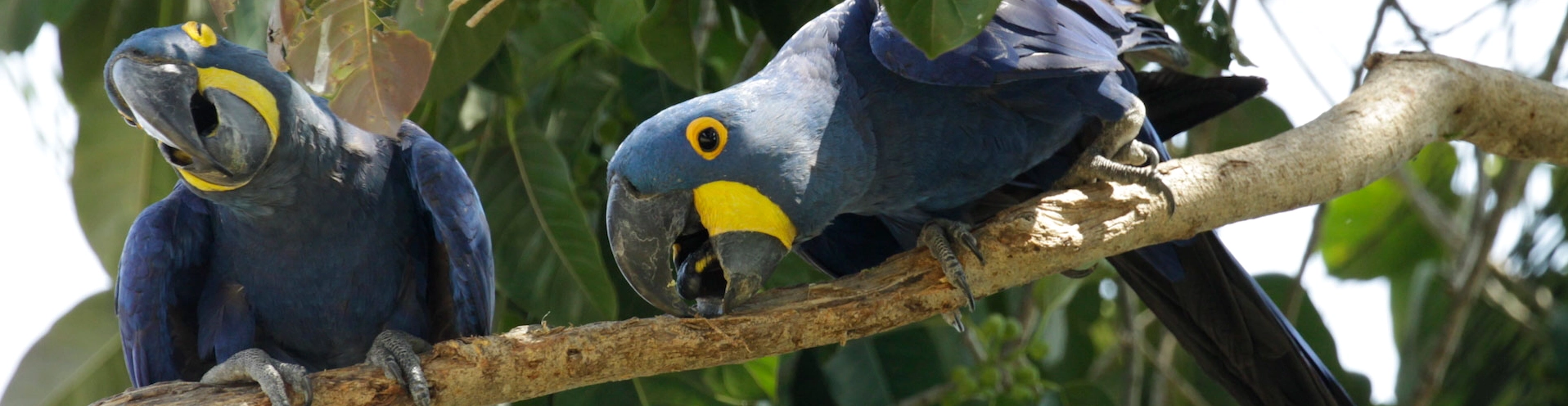 Experiencing an individual holiday in Brazil