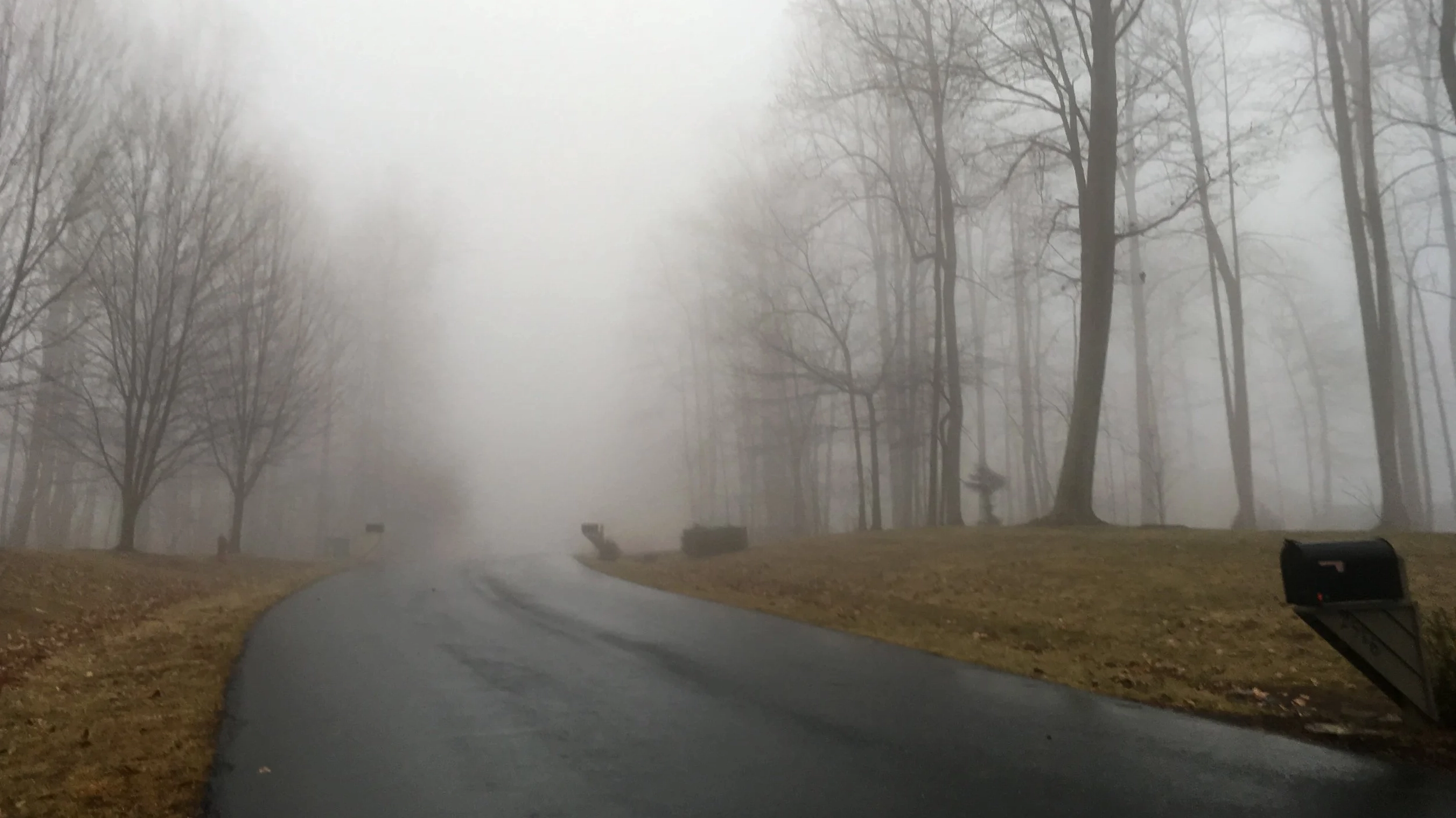 General view of a Nimbostratus cloud layer