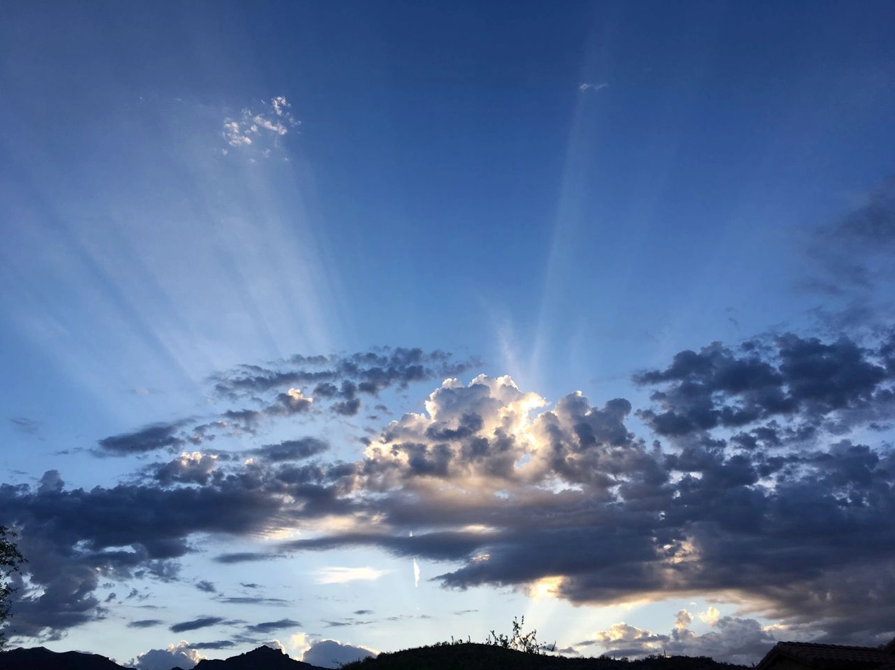 Golden crepuscular rays visible through a forest canopy