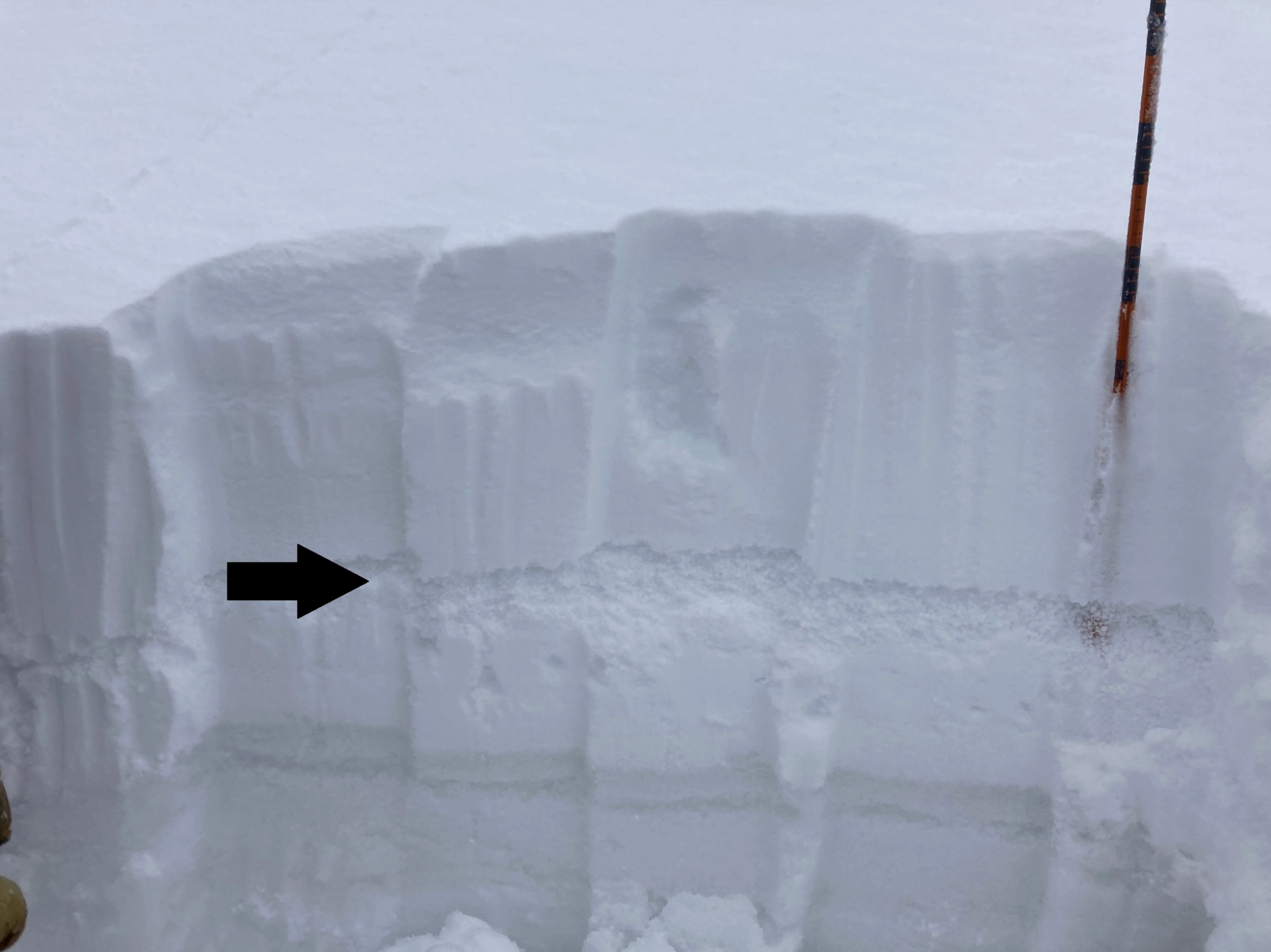 Illustration of graupel formation on snow crystals