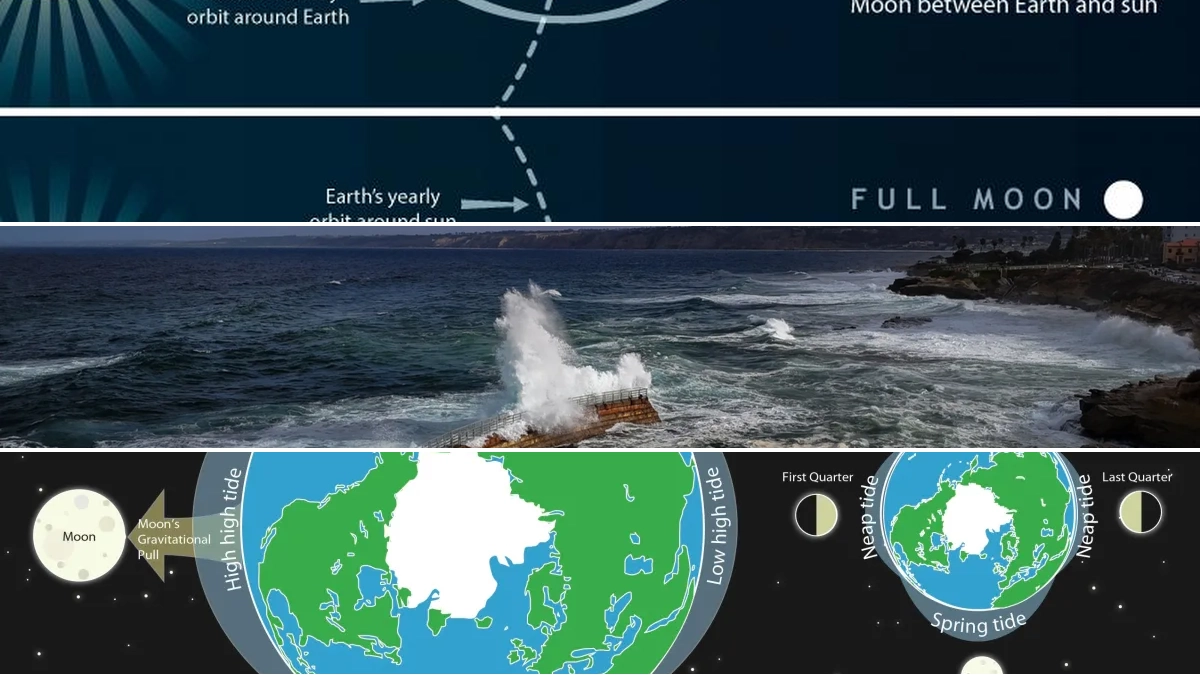 King Tides vs. Spring Tides: Understanding Exceptional High Tides
