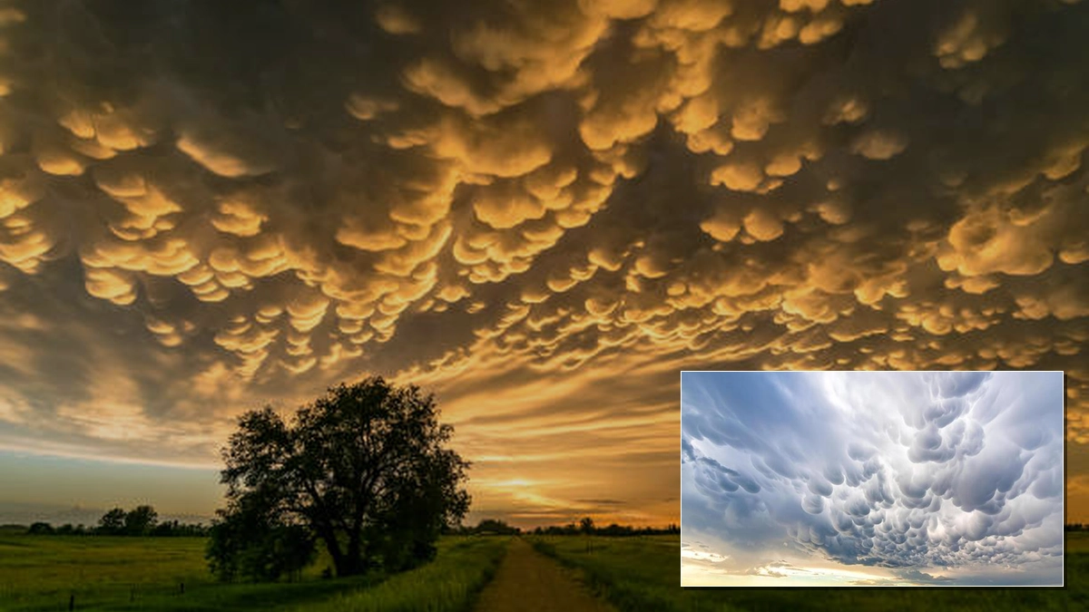 Mammatus Clouds: Understanding These Unique Pouch-Like Formations