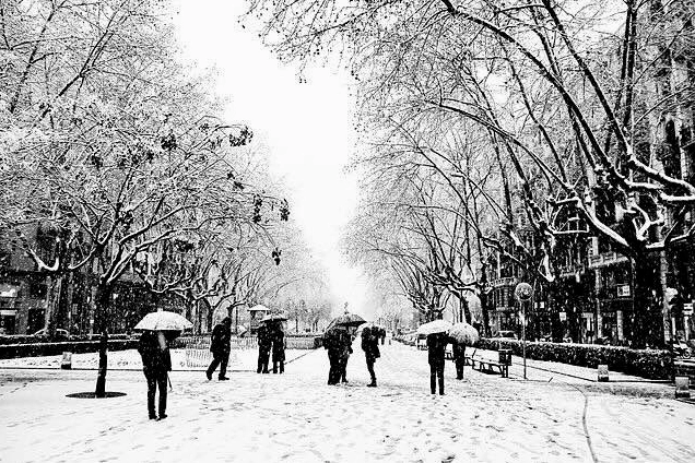 Snowfall in Barcelona during a 2010 cold wave event