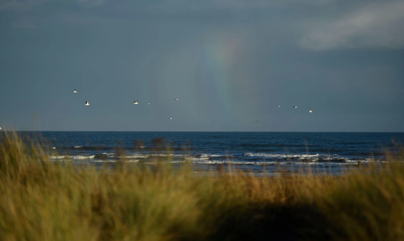 Spectacular nacreous clouds observed in Ireland