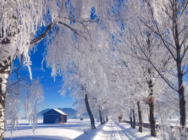 Static Hoarfrost on German landscape