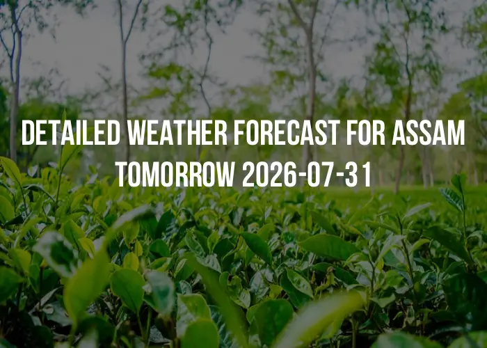 Detailed weather forecast for Assam tomorrow 2026-07-31