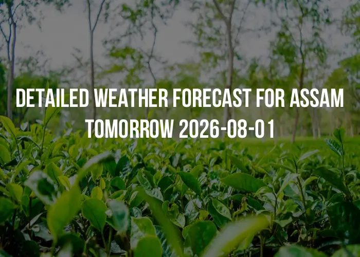 Detailed weather forecast for Assam tomorrow 2026-08-01
