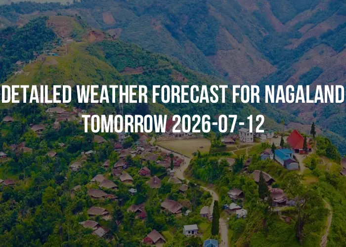 Detailed weather forecast for Nagaland tomorrow 2026-07-12