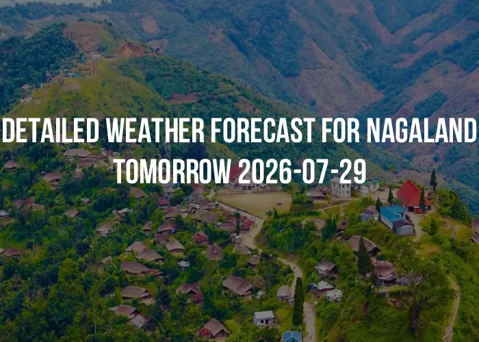 Detailed weather forecast for Nagaland tomorrow 2026-07-29