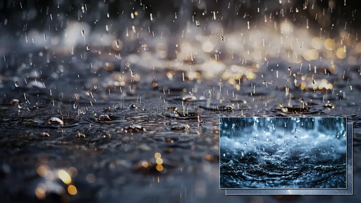 Torrential Rain Flooding in Illinois: Causes and Consequences