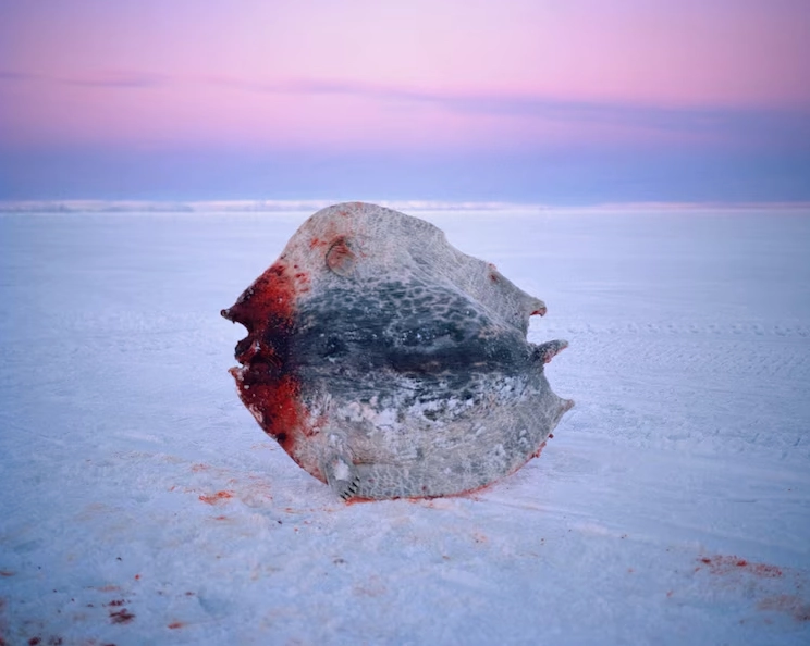 Twilight glow visible during polar night
